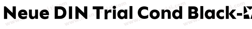 Neue DIN Trial Cond Black字体转换